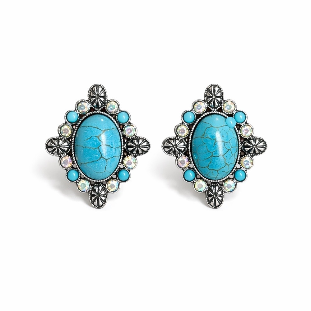 ⚜️ Turquoise and Silver Earrings